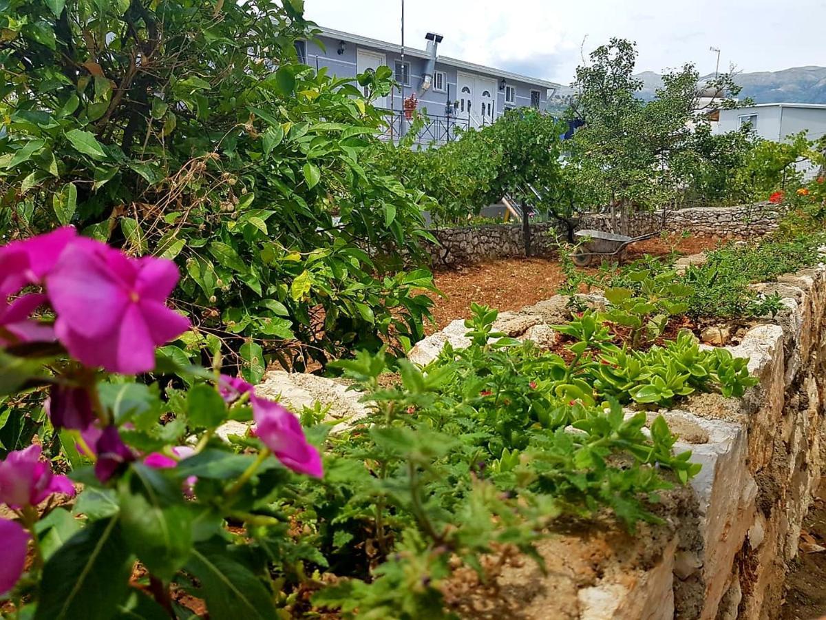 Aira Apartment هيماري المظهر الخارجي الصورة
